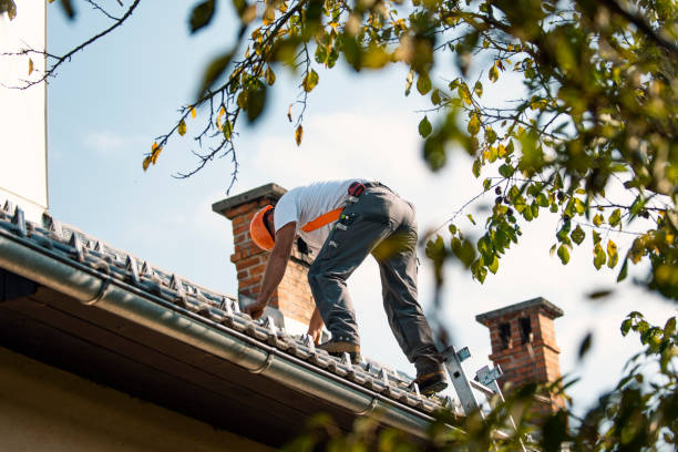 Quick and Trustworthy Emergency Roof Repair Services in Zephyrhills North, FL