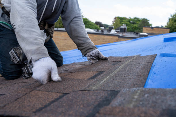 Best Storm Damage Roof Repair  in Zephyrhills North, FL