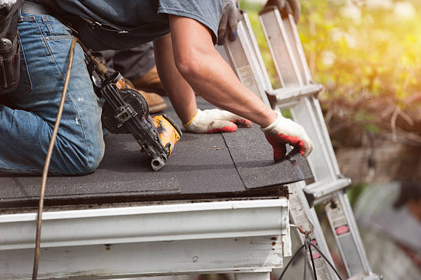 Best Local Roofing Companies  in Zephyrhills North, FL